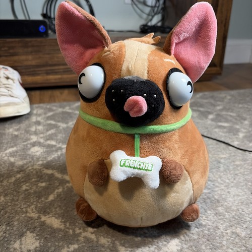 Ugly fat chubby pug dog - chubby,