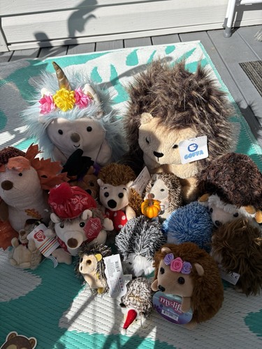 Hedgehog lot stuff - hedgehog,